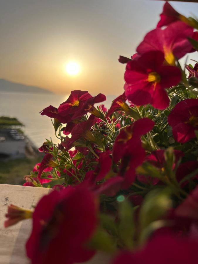 Lotus Apartments Avlonya Dış mekan fotoğraf