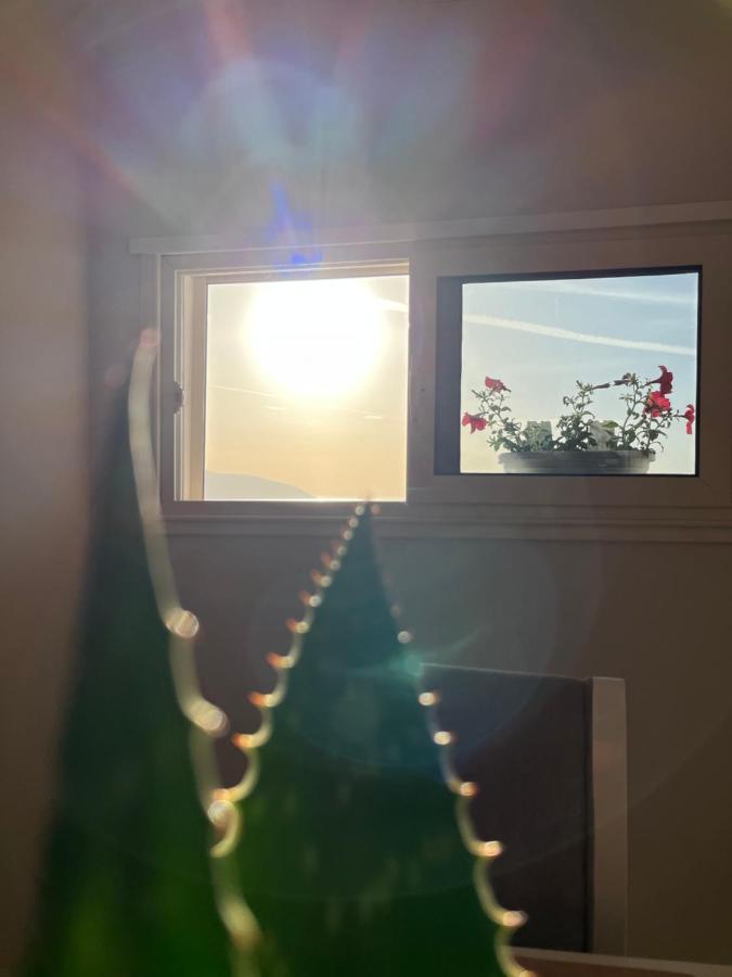 Lotus Apartments Avlonya Dış mekan fotoğraf
